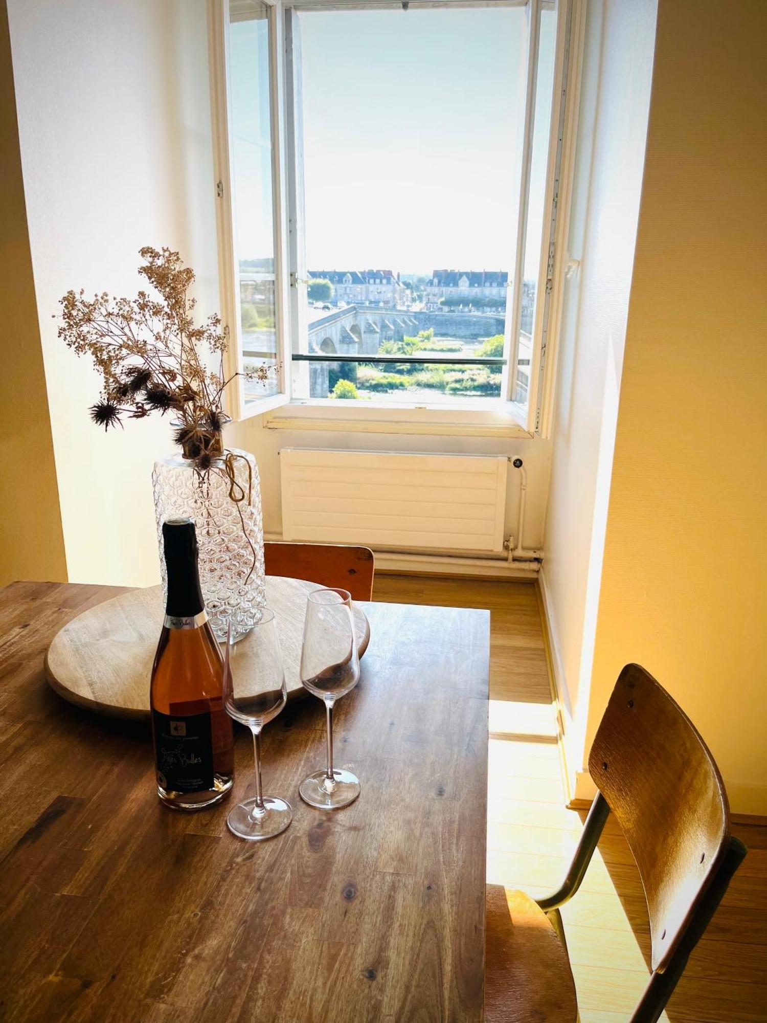 Blois, Vue Panoramique Loire Διαμέρισμα Εξωτερικό φωτογραφία