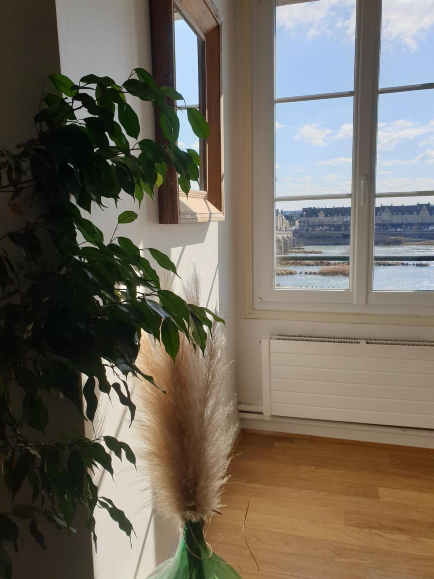 Blois, Vue Panoramique Loire Διαμέρισμα Εξωτερικό φωτογραφία